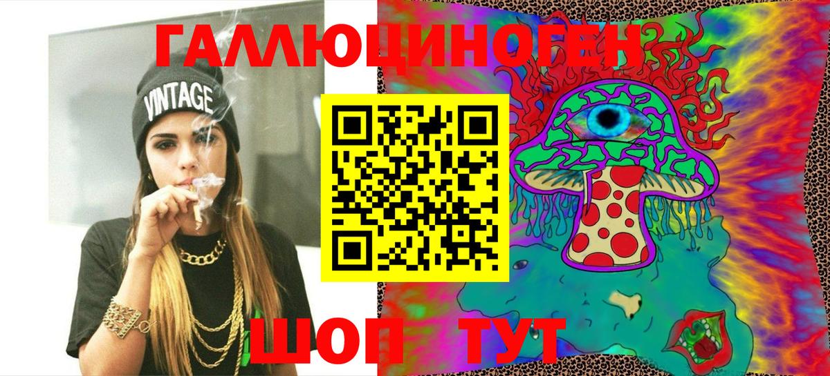Киселёвск  Псилоцибиновые грибы мицелий  Вход с VPN 