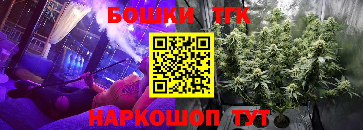 Бошки Шишки план Киселёвск